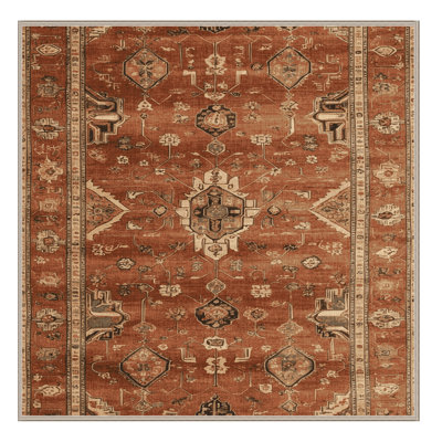 Machine Washable Turkish Brown Area Rug