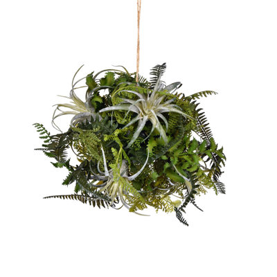 Fern Arrangement