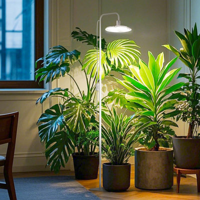 Barrina T10 Pro Standing Grow Light With Timer – 42W Full Spectrum 169 LEDs – Adjustable Height 4FT To 5.6FT For Tall Indoor Plants, Flowers & Shelves