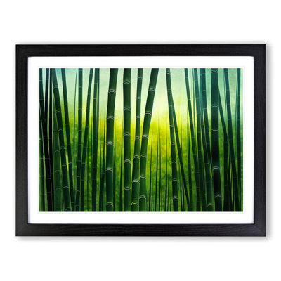 Cute Bamboo Forest - Framed Print