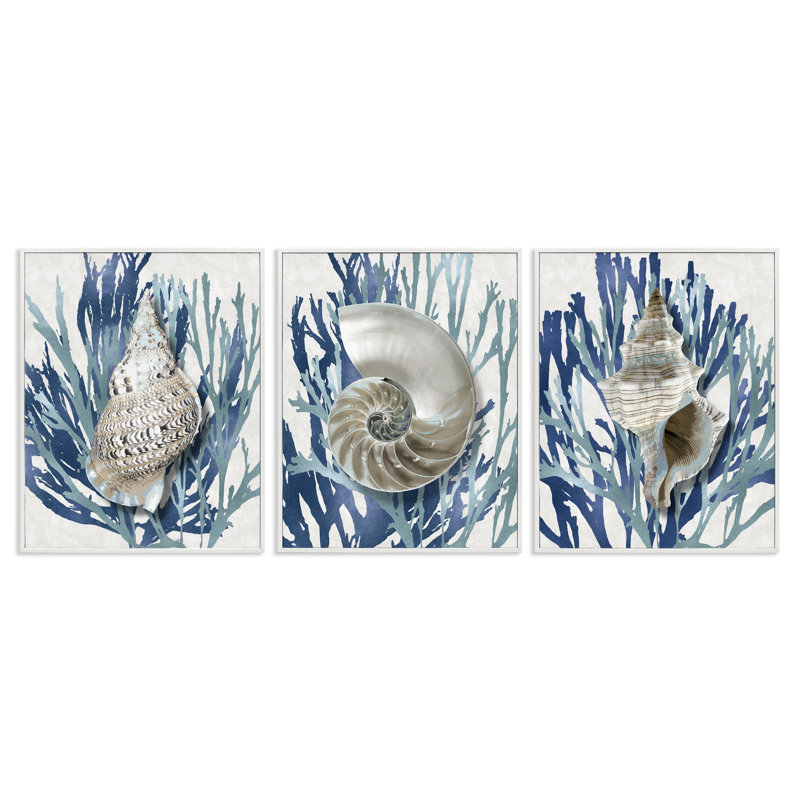 Trio de coquillages et corail, ensemble de 3 giclées encadrées par Caroline Kelly, Giclée encadrée blanc bord de mer