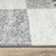 Saddleback Geometric Indoor Rug