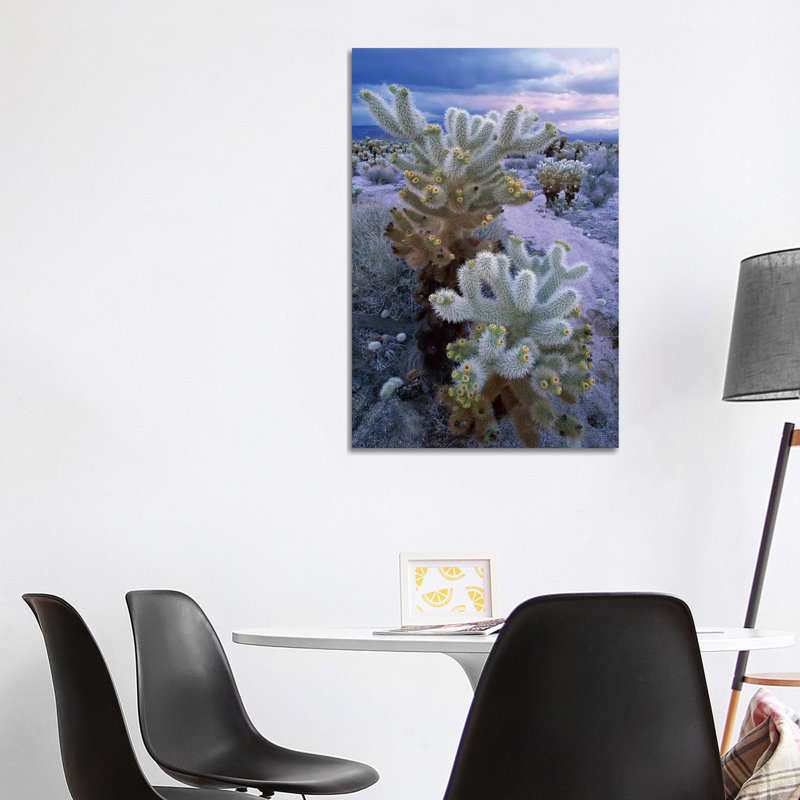 Teddy Bear Cholla Under Stormy Skies, Joshua Tree National Park by Tim Fitzharris - Wrapped Canvas Print