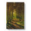 Sunlight Forest Vol.7 - Wrapped Canvas-61838043