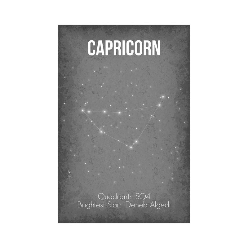 Capricorn - Wrapped Canvas Print, 101.6 cm H x 66.04 cm W x 1.91 cm D
