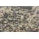 Tobitha Oriental Indoor Rug