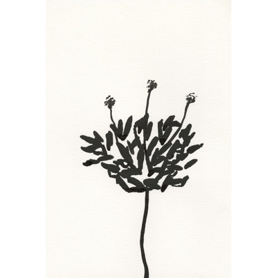 Encre, croquis botanique III