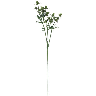 Delphinium Sprays