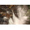 Mosquito Falls I