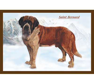Smooth Coated Saint Bernard Graphic Art