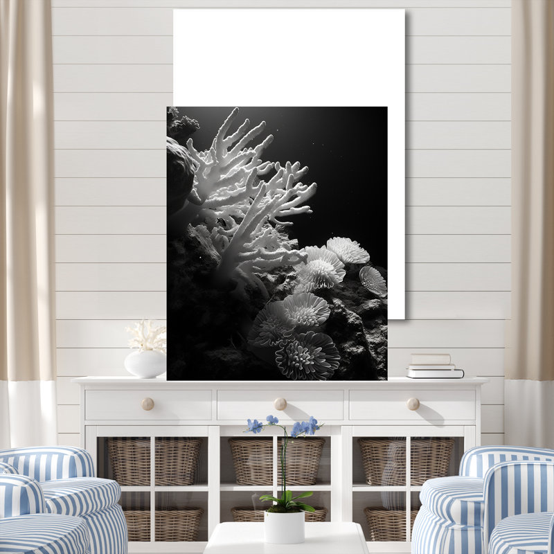 «Anemone» corail noir et blanc IV sur toile, H 20 po x l 12 po x P 1 po, Toile tendue