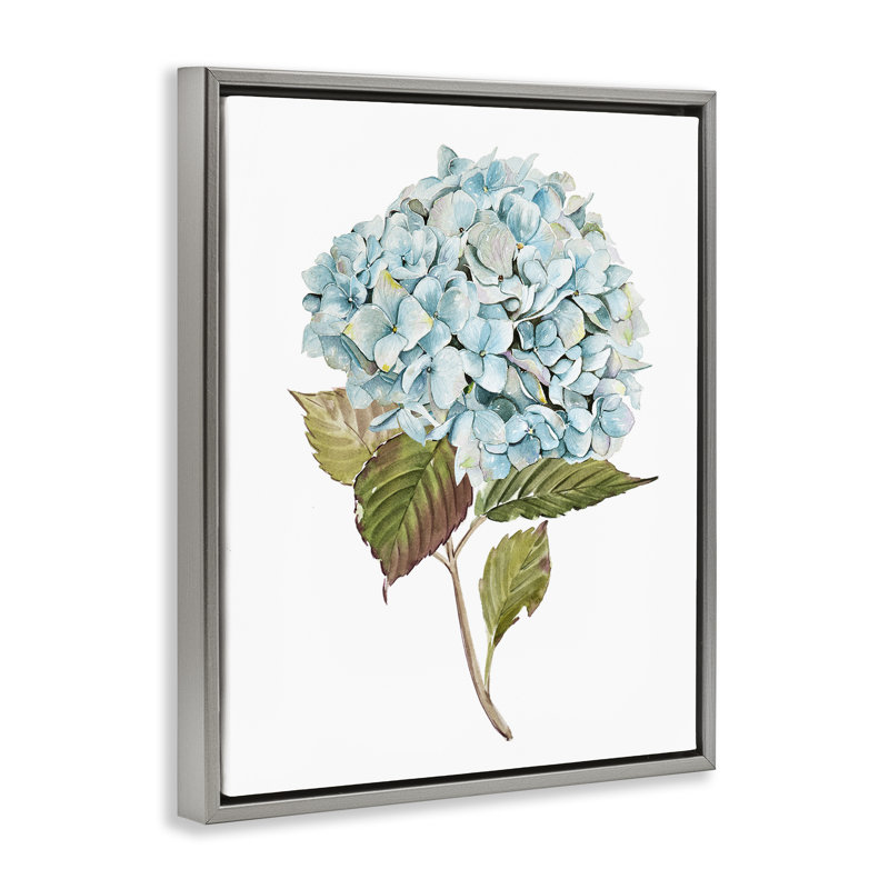 «Simple Hydrangea Bud» par Enya Todd, Cadre flottant gris lustré, H 21 po x l 17 po