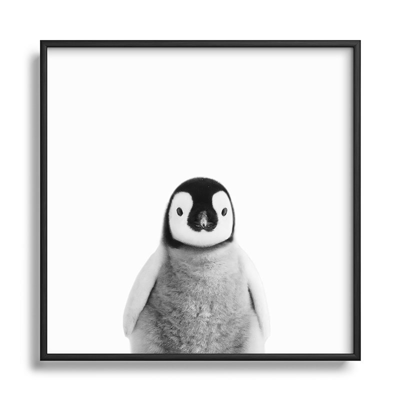 " Baby Penguin Black White ", Black, 10" H x 10" W x 1" D