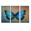 «Blue Vintage Butterfly», ensemble d'art mural sur toile à motif floral-1116179326-1116179327