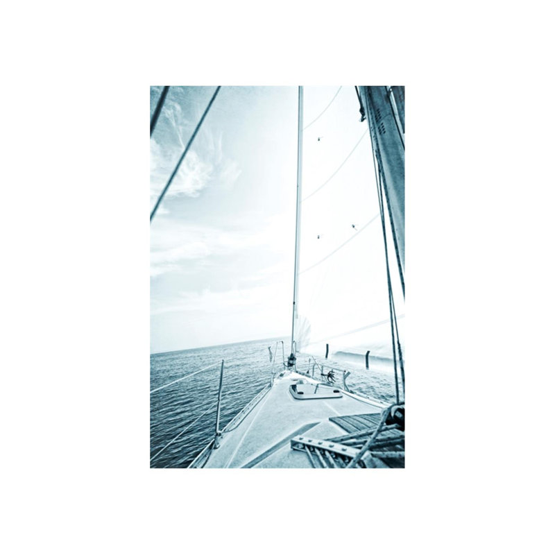 Marine Dream I Print by Sofia Fox, Plexi, 60" H x 40" W