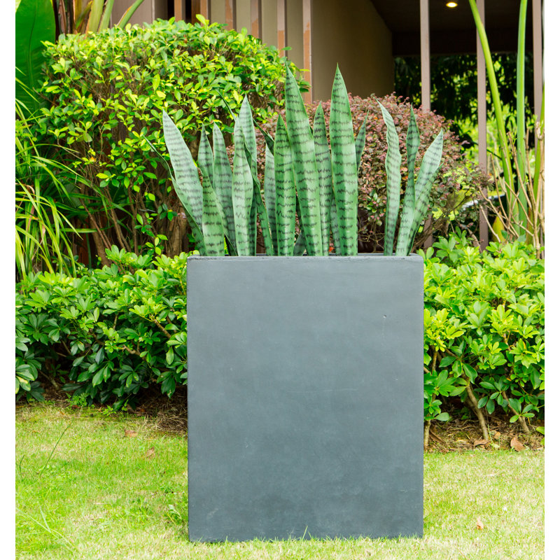 Boîte à fleurs en béton Wabbaseka, Anthracite, H 26,8 po x l 22 po x P 8,7 po