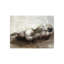 Pose Study I Print by Emma Brooks-26946768-26946770