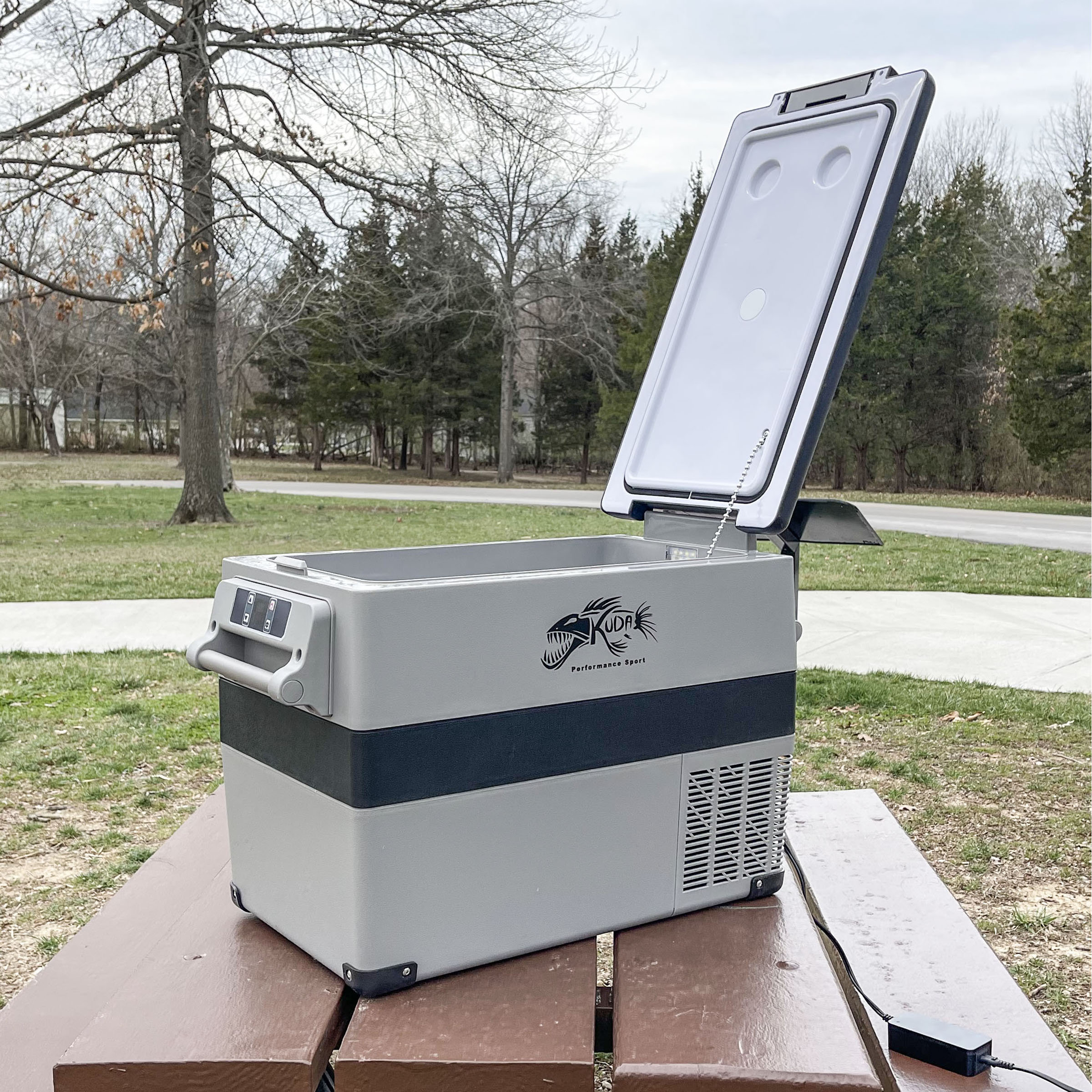 SportsmanSeries 47 Quart Electric Cooler Freezer - Wayfair Canada