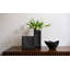 Gemma Catchall-1384169040-1384169038