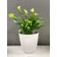 Pot de bambou d'intérieur / extérieur rond en bambou 7 po Bamboo Blooms