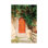 Italie, Toscane, Greve in Chianti. Chianti Vineyard. Porte d'entrée de maison de ferme en pierre. par Emily Wilson - Photographie sur toile tendue