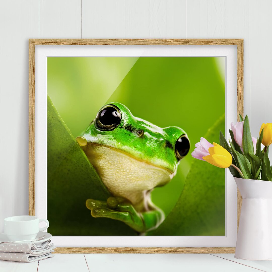 Gerahmtes Papierbild Wetterfrosch