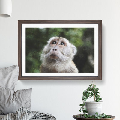 Macaque Monkey - Framed Print