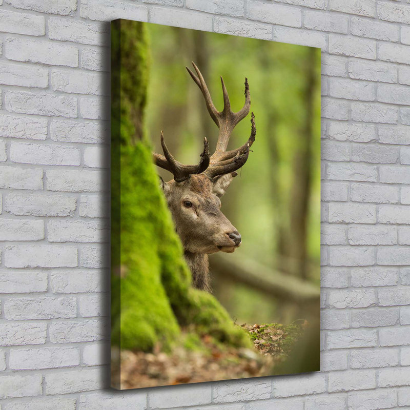 Deer - Wrapped Canvas Print