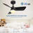 30" Flush Ceiling Fans with Lights & Black Blades,Low Profile Light and Fan with Remote,Small Modern Flush Mount Ceiling Fan with 3 Colour Led for Living Room Bedroom Kitchen-104321102
