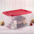 13.5" H x 16" W x 23.75" D Christmas 12 Piece Storage Set