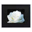 « white rose ii », reproduction d’impression sur toile encadrée-2108855638-2108855625