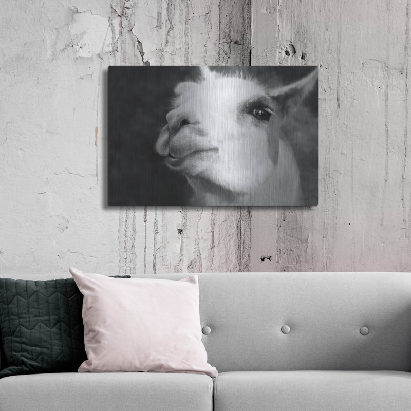 " Lake Tobias Alpaca " Print, 24" H x 36" W