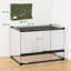 Reptile Box