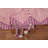 Handmade Pink Moroccan Oriental Rug 5x7