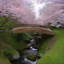 Pont de jardin en bois-98278470-98278473