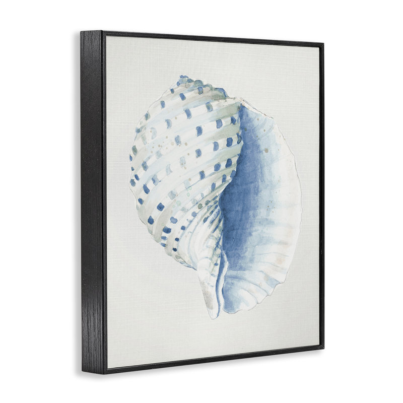 Giclée de conque tachetée par Patricia Pinto, Giclée encadrée noir minuit, H 14 po x l 11 po