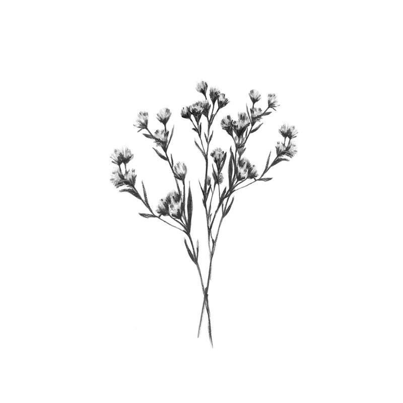 Wild Thistle Bundle II, H 30 po x l 20 po