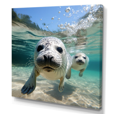 Marine Whispers Sea Lions At Play III - Seal/Sea Lion Wall Art