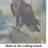 Eagle Glass Cutting Board