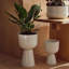Nappula Ceramic Pot Planter-79187405-79187406