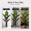 Arbre de taro artificiel réaliste en pot de ciment artificiel pour la maison ou le bureau - H 60 po-1742797832