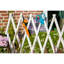 Elevated Planter with Trellis-926903295