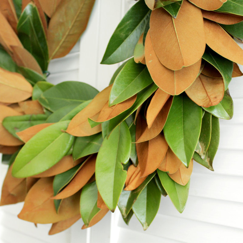 Handcrafted Live Magnolia Green and Copper 20'' Wreath