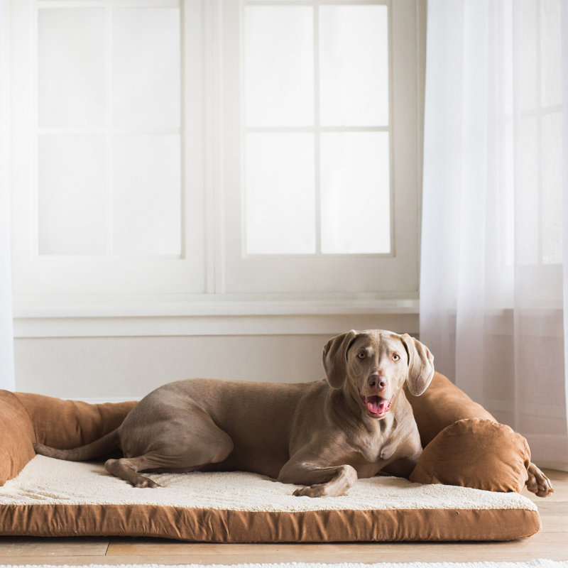 Hepler Orthopedic Polyester Pet Bed