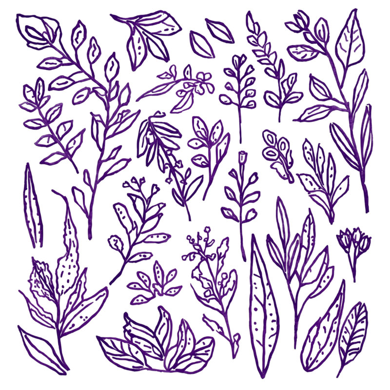 Rideaux de douche mauve à motif botanique très long, 70 po L x 72 po H