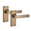 Golden Grace 1 Pair Victorian Delta Scroll Interior Door Handle on Backplate Antique Brass with 2.5" Latch & Hinges - 120mm x 40mm