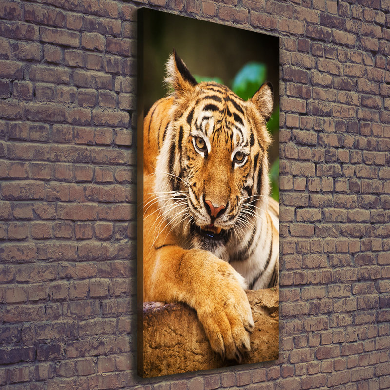 Bengal Tiger - Wrapped Canvas Print