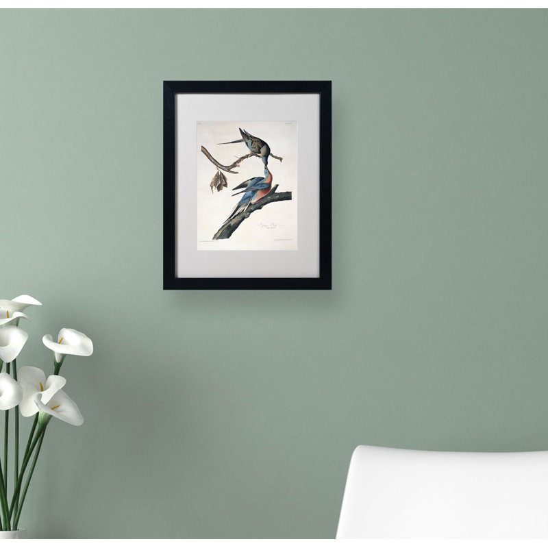 Passager Pigeon par John James Audubon - reproduction d'art sur toile, H 20 po x l 16 po x P 0,5 po, Noir
