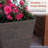 Pot Planter-979810678