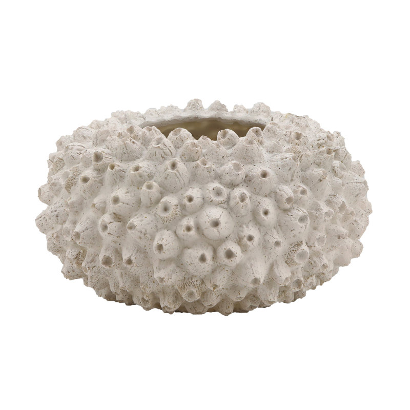 Bol corail Reef Bloom